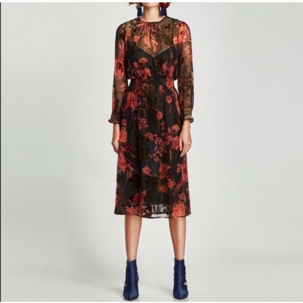 Zara medium Floral Sheer Black Dress